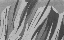 SPARE DEATH ICON Split tape, Stunned Records 2011